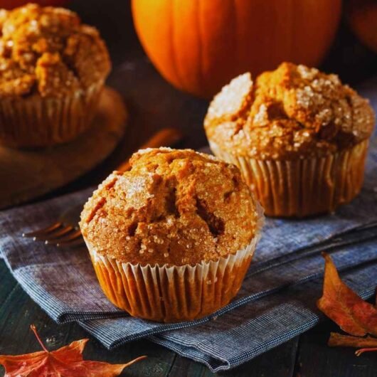 pumpkin protein muffin recipe